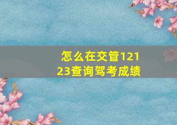 怎么在交管12123查询驾考成绩