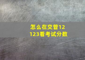 怎么在交管12123看考试分数