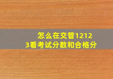 怎么在交管12123看考试分数和合格分