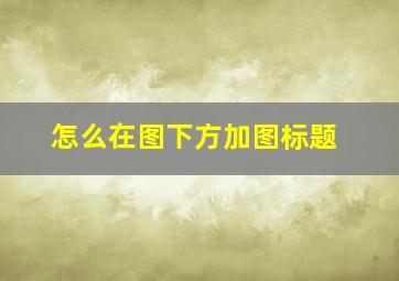 怎么在图下方加图标题