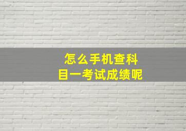 怎么手机查科目一考试成绩呢