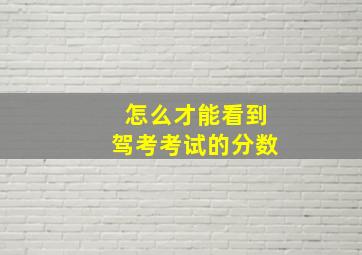 怎么才能看到驾考考试的分数