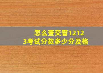 怎么查交管12123考试分数多少分及格