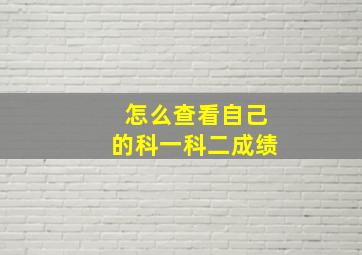 怎么查看自己的科一科二成绩