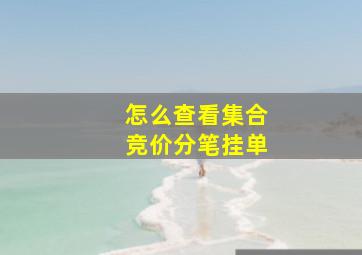 怎么查看集合竞价分笔挂单