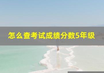 怎么查考试成绩分数5年级