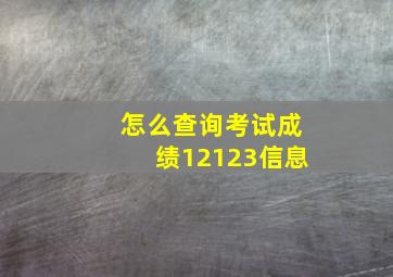 怎么查询考试成绩12123信息