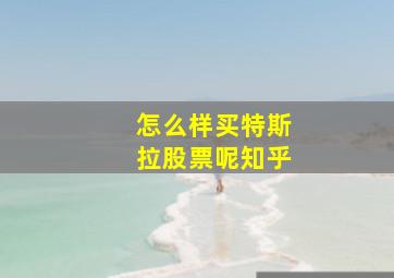 怎么样买特斯拉股票呢知乎