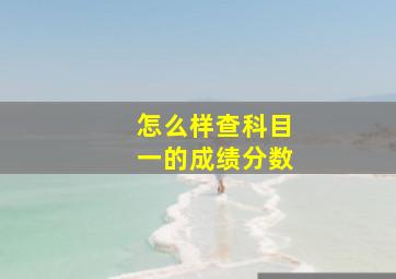 怎么样查科目一的成绩分数