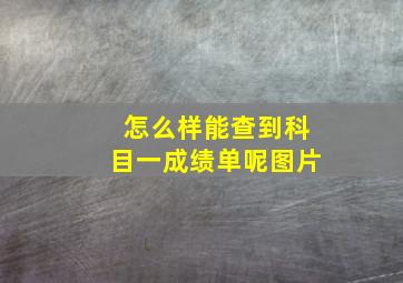 怎么样能查到科目一成绩单呢图片