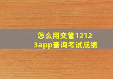 怎么用交管12123app查询考试成绩