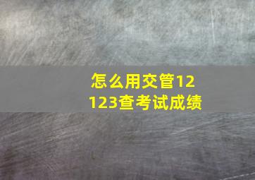 怎么用交管12123查考试成绩