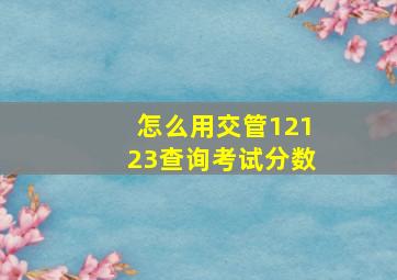 怎么用交管12123查询考试分数