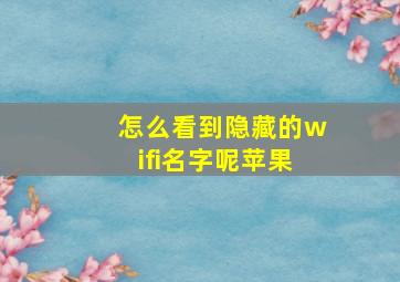 怎么看到隐藏的wifi名字呢苹果