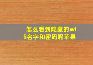 怎么看到隐藏的wifi名字和密码呢苹果