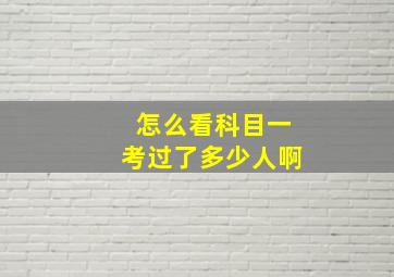 怎么看科目一考过了多少人啊