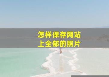 怎样保存网站上全部的照片