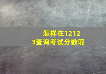 怎样在12123查询考试分数呢