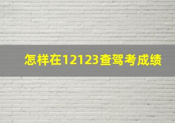 怎样在12123查驾考成绩