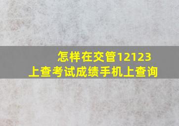 怎样在交管12123上查考试成绩手机上查询