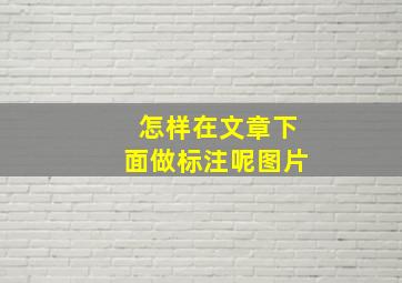 怎样在文章下面做标注呢图片