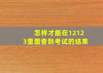 怎样才能在12123里面查到考试的结果