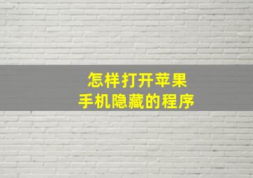 怎样打开苹果手机隐藏的程序