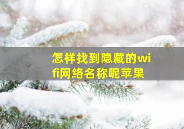 怎样找到隐藏的wifi网络名称呢苹果