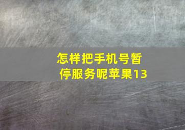 怎样把手机号暂停服务呢苹果13