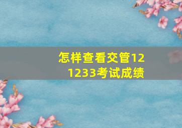 怎样查看交管121233考试成绩