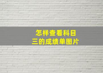 怎样查看科目三的成绩单图片