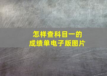 怎样查科目一的成绩单电子版图片