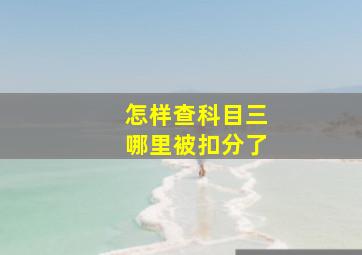 怎样查科目三哪里被扣分了