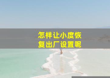 怎样让小度恢复出厂设置呢