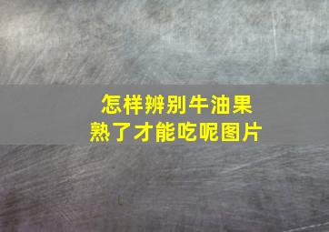 怎样辨别牛油果熟了才能吃呢图片