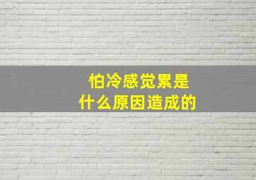 怕冷感觉累是什么原因造成的