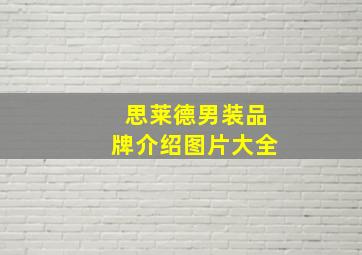 思莱德男装品牌介绍图片大全