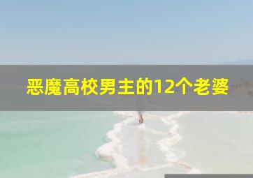 恶魔高校男主的12个老婆