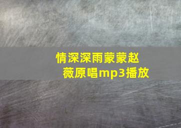 情深深雨蒙蒙赵薇原唱mp3播放