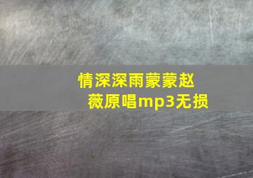 情深深雨蒙蒙赵薇原唱mp3无损