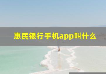 惠民银行手机app叫什么