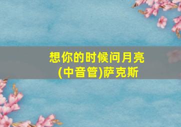 想你的时候问月亮(中音管)萨克斯