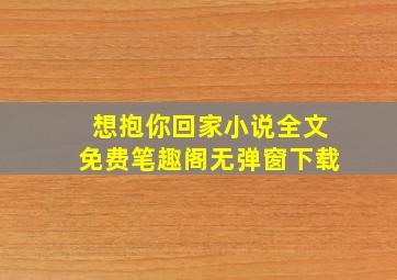 想抱你回家小说全文免费笔趣阁无弹窗下载