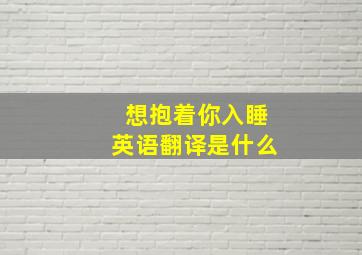 想抱着你入睡英语翻译是什么