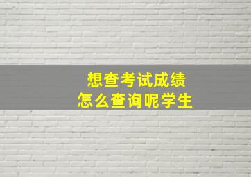 想查考试成绩怎么查询呢学生