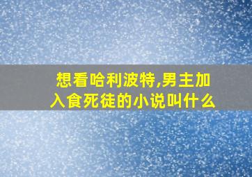 想看哈利波特,男主加入食死徒的小说叫什么