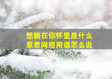 想躺在你怀里是什么意思网络用语怎么说