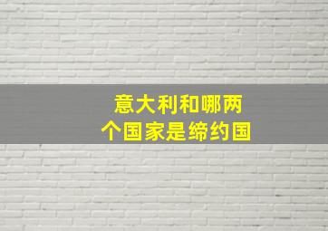 意大利和哪两个国家是缔约国