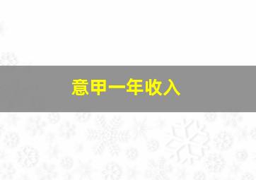 意甲一年收入