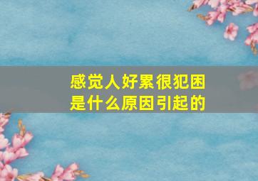 感觉人好累很犯困是什么原因引起的